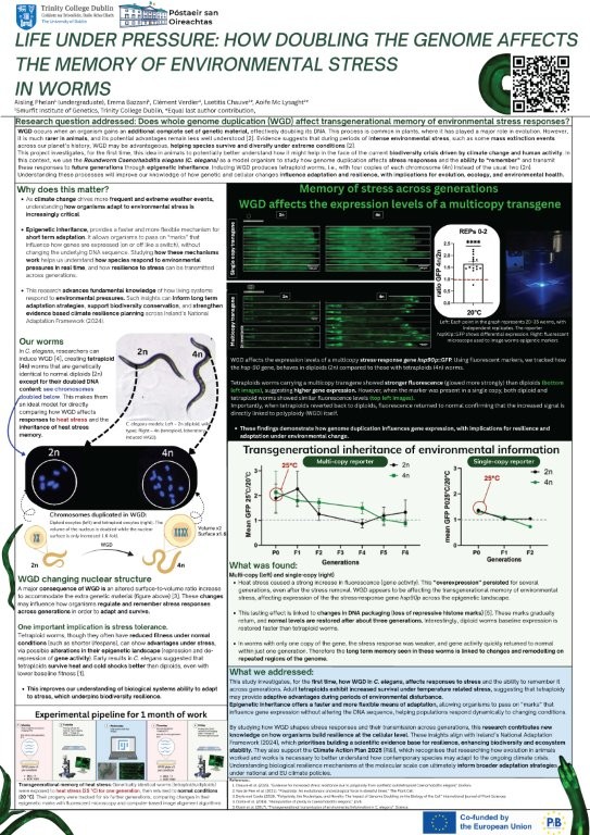 Poster thumbnail for Aisling Phelan on SURE-J